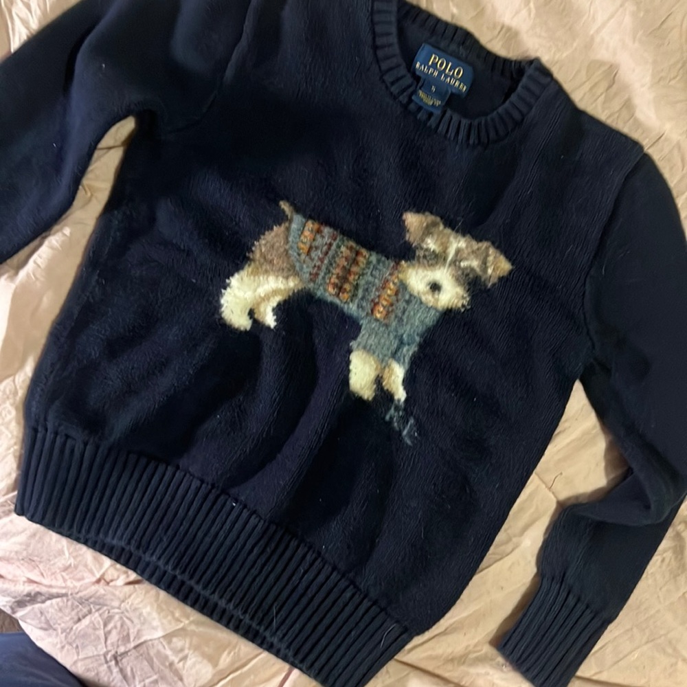Polo Ralph Lauren boys sweater